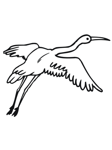 Crane With Wings Widespread Coloring Page